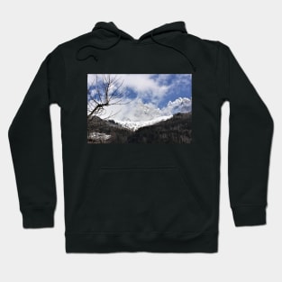 Snowy Mountain Landscape with Tree Hoodie